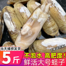 ʮ����B노��|���r���̖���r�p�^�|��ؐ��rˮ�a���|͘���|