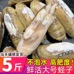 ʮ����B노��|���r���̖���r�p�^�|��ؐ��rˮ�a���|͘���|