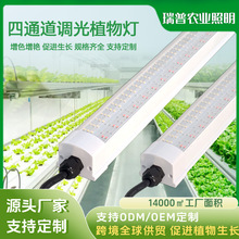 �羳ȫ����led�ƹ�4ͨ��������Զ�����߲˻�����ֲֲ��������