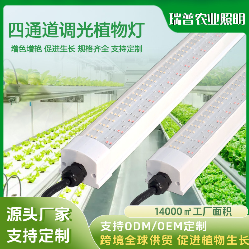 linear light