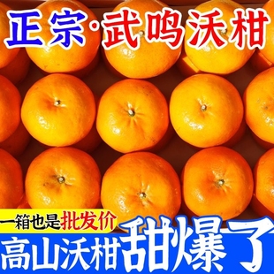 ���ڏV���ָ̽����rˮ�����������۽۸���ɰ������������