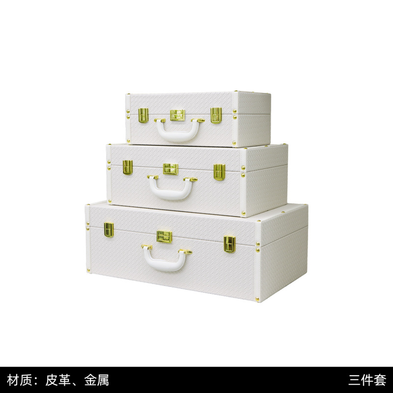 高級収納ボックス、スーツケース、レザースーツケース、メタルコーナー、クローク、モデルルーム、整理収納ボックス、家具|undefined