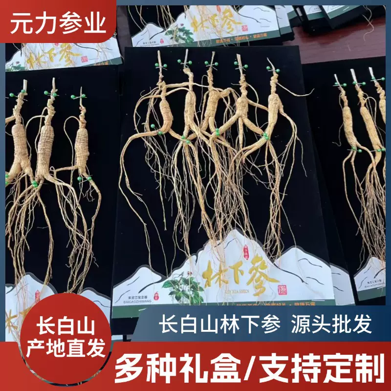 长白山林下参人参 各种礼盒定制人参粉人参片单支多支独立真空