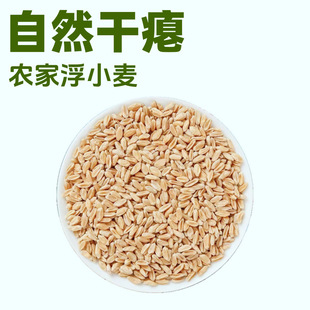 ��ș���r�Ҹ�С���o����Ȼ����500g �����ʰTС��șʳͬԴ���l