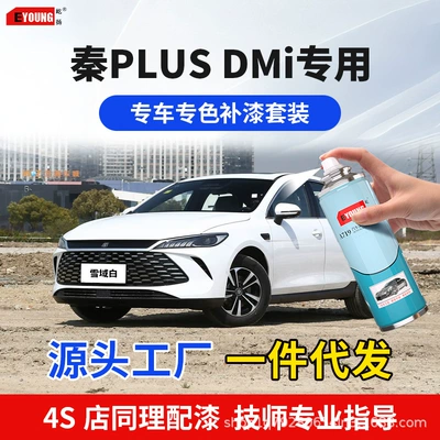 Byd Qin Plus Dmi Touch-Up Paint Pen in Time Gray for Car Paint Scratch Repair, Snow White, White Glaze, Green Spray Paint