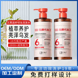 贴牌电商专供五黑滋养弱酸性控油洗发水温和清洁不刺激洗发水厂家