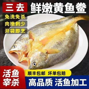 �S�~���_�����S�~�ك�ȥ�[ȥ���K������հ��b�S�~�����ư��Ʒ