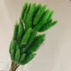 There are about 60 pieces of dark green rabbit tail grass in a bunch