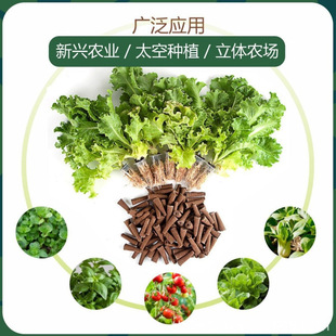 �S��ֱ�N�o������Nֲ���|���g�����綨ֲ�̨�҃�ˮ��̼�ޟo��̼