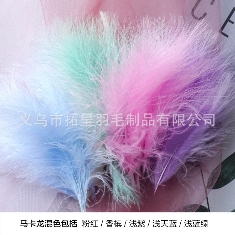 Turkey feather pointed tail shred full down feather blood vessel…