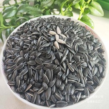 油葵黑珍珠瓜子生香5斤年货小油葵花籽2斤炒货熟奶油薄盐原味零食