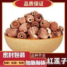 \tɏӸ؛ȫоɏMoƷɏɏIlă