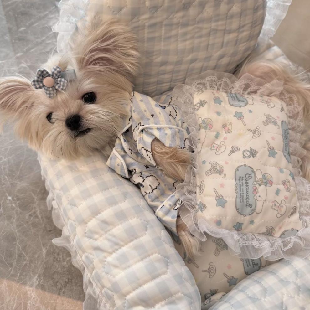 gWmWivOiz9St5JawZAY2YHiAGJIbGSU0T/4H