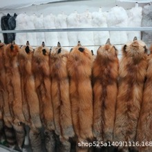 ���l��ֻ����ë�����t���׺��{���ݺ���ƤƤ�ݶ�����ů��������Ƥ