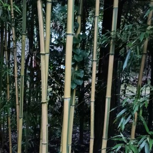 �F���ؑc�ɶ����������ؽ���������Խ���������l�����������