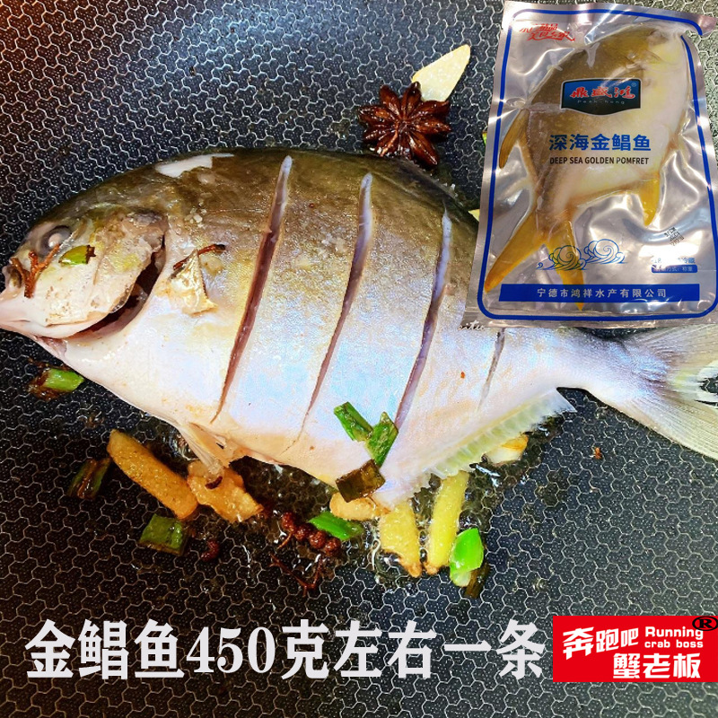 舟山东海大金鲳鱼新鲜冷冻银鲳鱼大昌鱼平鲳鳊鱼白鲳鱼鲜海鲜水产