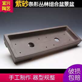年中长条形大号花盆丛林组合窗台绿植多肉拼盘景观紫砂折