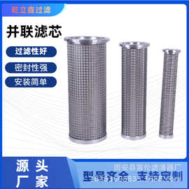 汽轮机润滑油滤芯304不锈钢LY15/25LY38/25LY48/25并联钢厂专用
