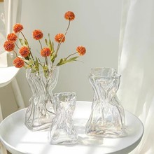 高级感简约创意不规则花瓶透明玻璃客厅桌面插花水养ins装饰摆件