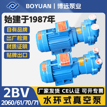 2BV水环真空泵2060/61/70/71耐腐防漏机封工业真空液环泵博远泵业