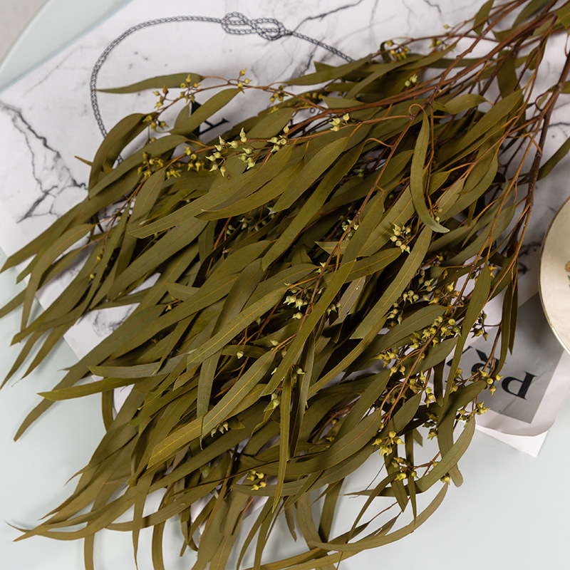 기장 잎 노란색 100g