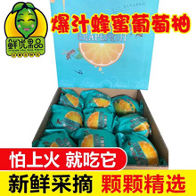 5个爆汁蜂蜜葡萄柚柚子当季孕妇水果台湾品种纯新鲜甜西柚9个装,h