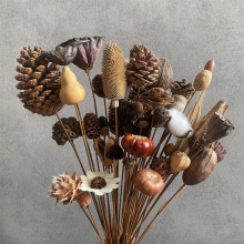 �S�����l��Ȼ�ɹ��ɻ��ɹ����ɏ��Ǭ�ﻨ���W�Ӽ��b[��diy