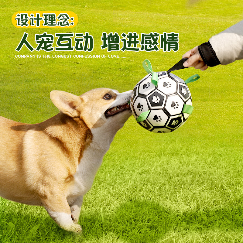Borde de la bola del perro cría de animales juguete Golden Retriever Labrador Corgi entrenamiento del perro Bola Especial para mascotas bola juguete para perros suministros para mascotas image 3