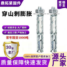 穿山刺膨胀螺栓轻质泡沫砖专用膨胀栓鱼鳞外拉爆壁虎内嵌膨胀螺丝