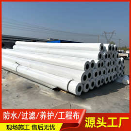 国标聚酯长丝土工布工程布白色过滤反滤养护桥梁公路防排水工程布