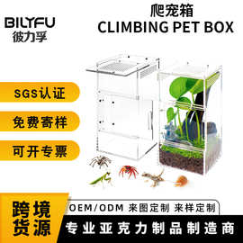 跨境亚克力爬宠箱蜘蛛围栏狼蛛蜗牛螳螂蜥蜴小型爬行动物饲养箱