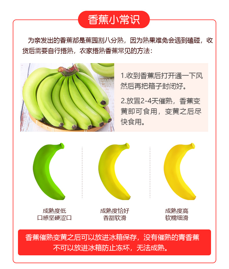 天宝香蕉_10.jpg