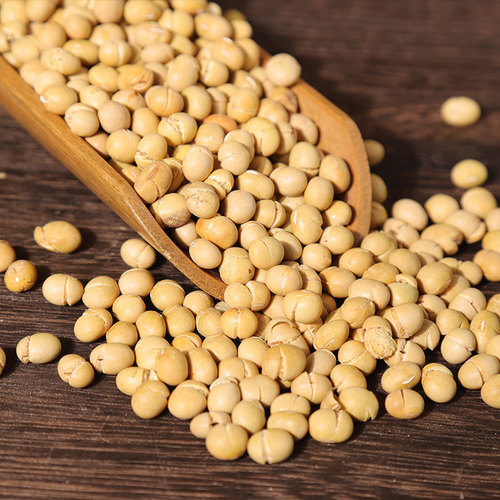 Chuanhaozi Food Original Roasted Soybeans 500g, Roasted Beans Snack, Sold by a Reliable Factory