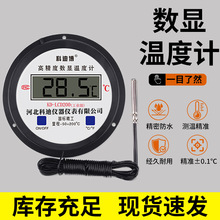 现货速发电子测水测油温大棚专用高精度带探头温度计数显温度计