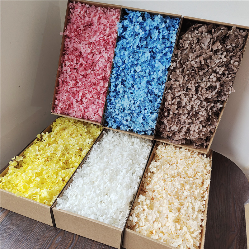 Everlasting flower hydrangea Anna leaflet dried flowers real flowers Christmas tree fan handmade bouquet diy material package flowers