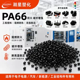 PA6;PA66;PPA