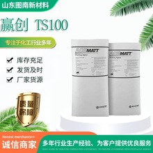 消光粉TS100 Evonik赢创 ACEMATT TS 100 哑光粉TS100