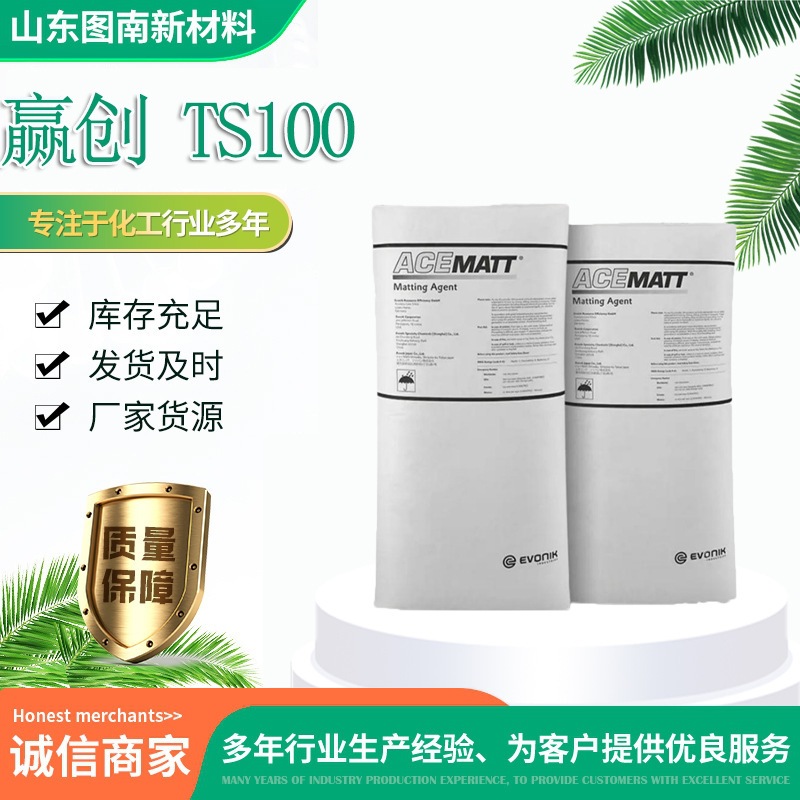 消光粉TS100 Evonik赢创 ACEMATT TS 100 哑光粉TS100