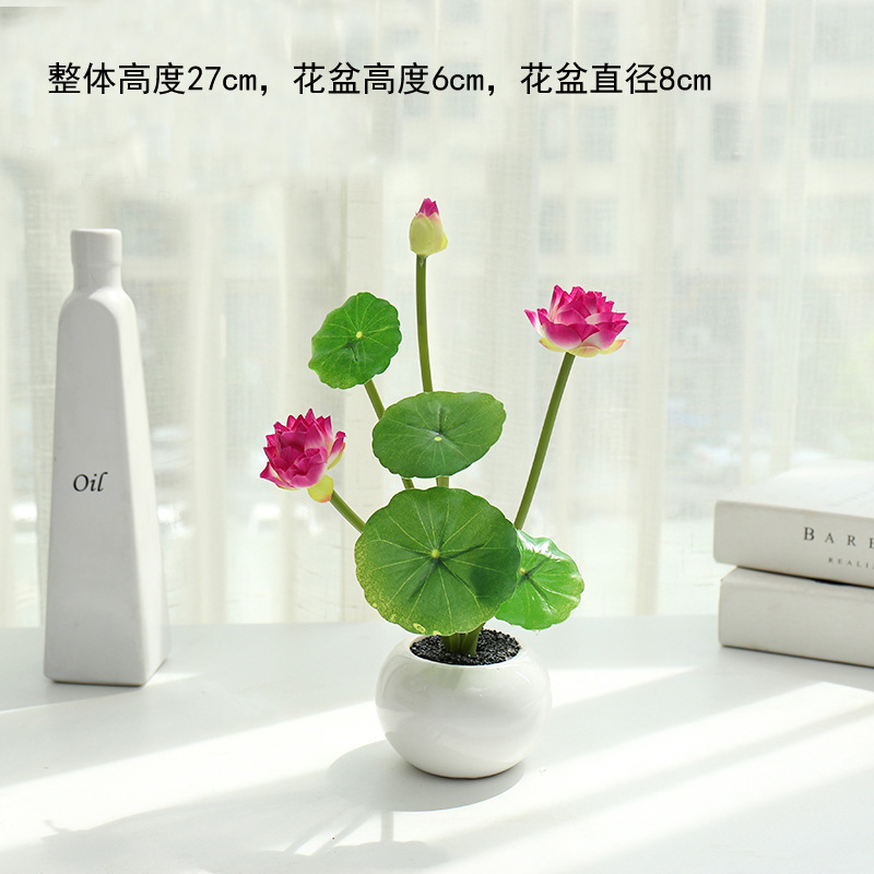 JH4567 Lotos rojos rojos en maceta ☆