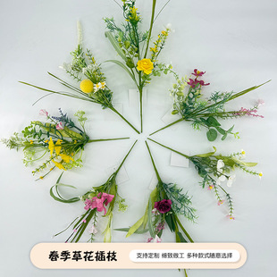 �羳����ˮ�ݲ�֦�Ҿ��T��¾Gֲ�ٻ������{�����~���[����c�b�