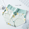 Japanese underwear, cotton trousers, breathable cute waist belt for elementary school students, plus size