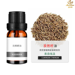 ������Ȼ�Ѿ���Cumin seed oil��Ȼ����޹�ջ�ֲ��η�����ԭ��