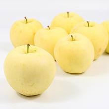 喬姑娘正宗黃金奶油富士蘋果凈重4.5斤頭茬精品大果新鮮水果當季