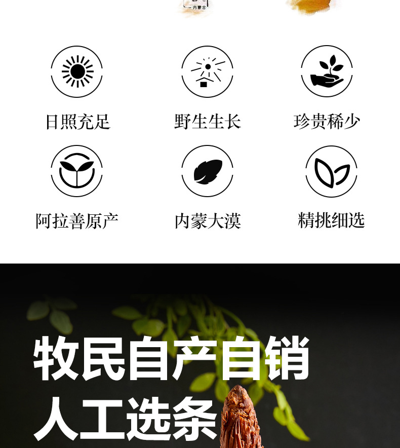 Dried Cistanche Deserticola Root Whole Stick 100g Rou Cong Rong for Herbal Wine and Soup key features