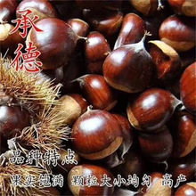 �������޽Ӵ��t���������ش�����������ͥԺ�����Ϸ������Nֲ