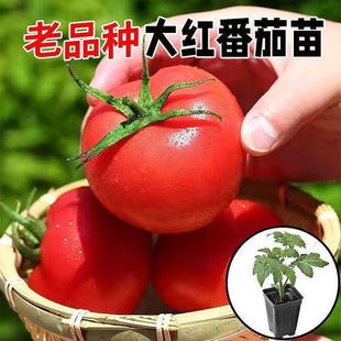 ������N�Ӵ����t���N�Ѳ��������߲���С��������ǧ���}Ů������