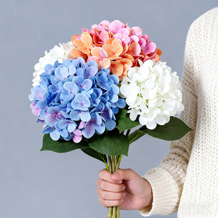 �½��򻨷��滨�߼��б��滨ˇ�廨�ҾӔ[�O�b�c�Y�ò��üٻ�