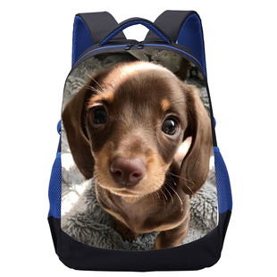 �羳���u��������С�W�� 17��������������{ɫ�p���һ�����l