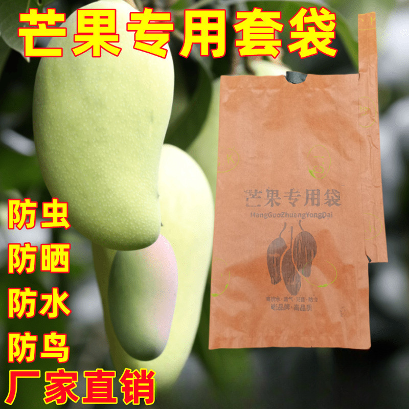 Jinhuang Mang Bag Mango Loquat Grapefruit Insect and Bird Protection Bag Fruit Mango Universal Paper Bag