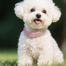 �ļ��¿���Ȧ�荻ʹ�Ƥ�|��ĥ������Ȧ���F���A؈�䲱Ȧ���l